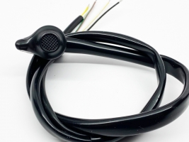 Bulbs, Lighting,  Chassis Electrics, Instruments